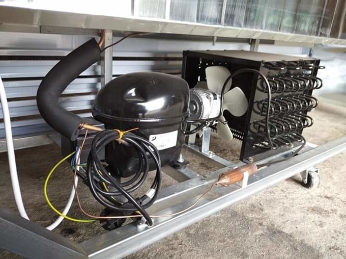El tipo de exhibición económico de las puertas de cristal dobles refrigera y preserva el gabinete de la cerveza de la frescura para las bebidas 12