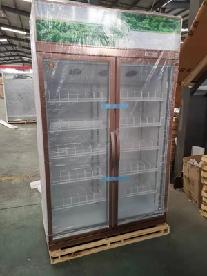 Vertical 2 Door Commercial Display Fridge Restaurant 1260L