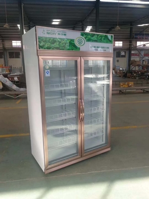 Vertical 2 Door Commercial Display Fridge Restaurant 1260L