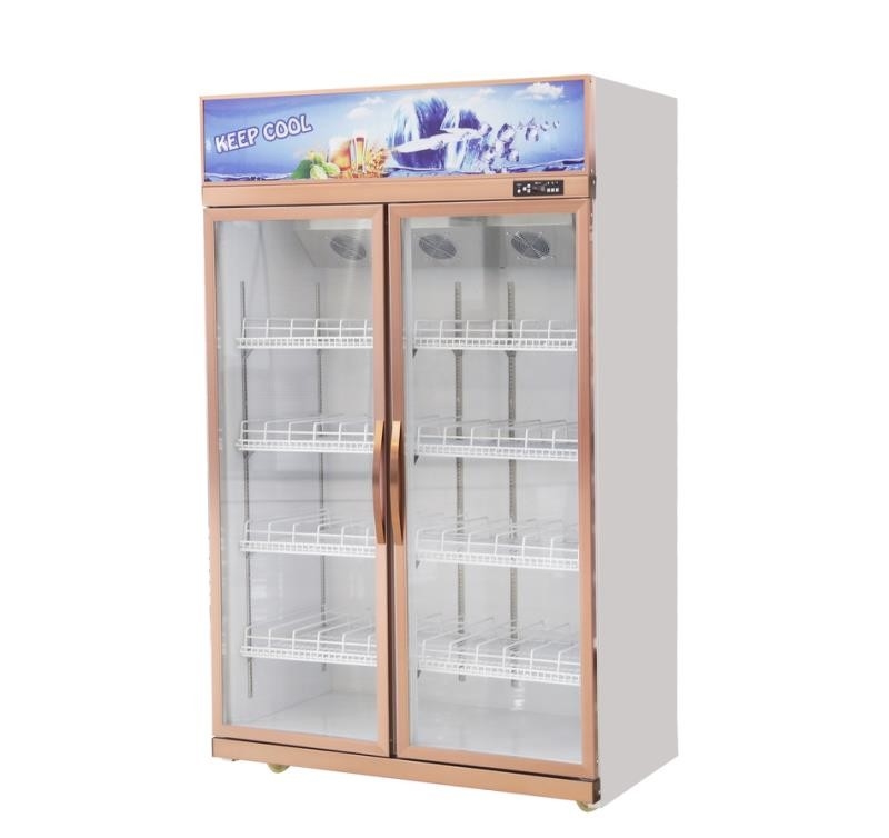 Vertical 2 Door Commercial Display Fridge Restaurant 1260L